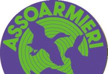 Due armerie chiuse per la vendita di sfollagente
